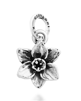 Charm Giovanni Raspini in Argento 12718